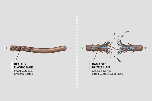 From Fragile to Flexible: How Hair Elasticity Determines Strength, Shine, and Length