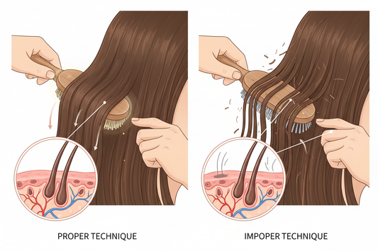 The Hidden Impact of Daily Brushing on Hair Health: What Most People Get Wrong