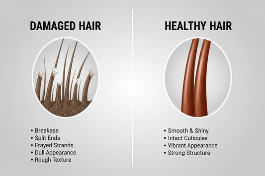 Hair Breakage Explained: Causes, Prevention & Daily Care Solutions